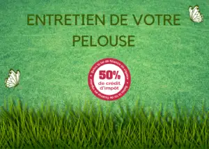 ENTRETIEN-DE-VOTRE-PELOUSE-2-300x214-1 jardinier generale des services