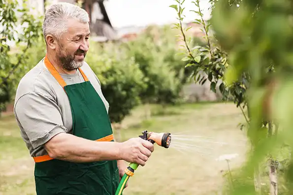 Entretien du jardin