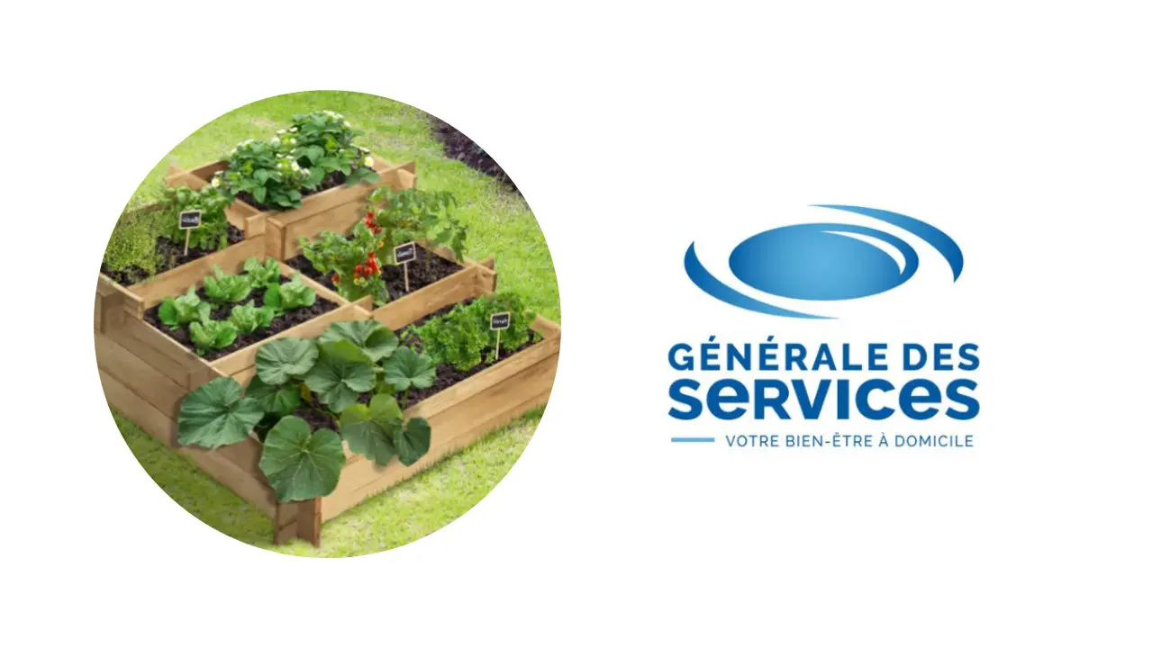Potager-au-carre