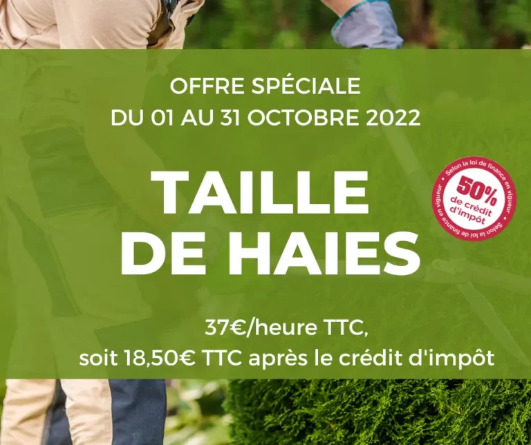 Taille-de-haies