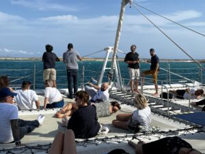 Catamaran 